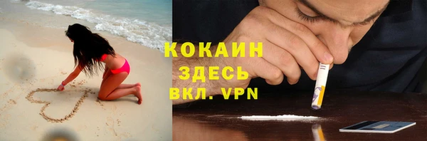 apvp Богородицк