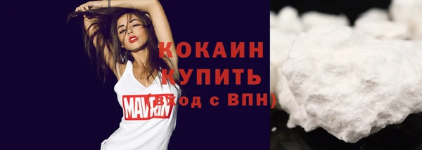 apvp Богородицк