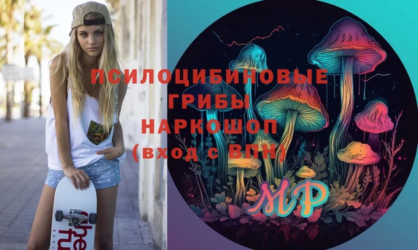 apvp Богородицк