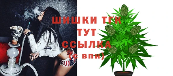 apvp Богородицк
