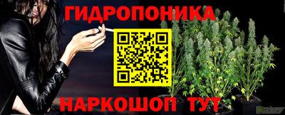 спайс Балашиха