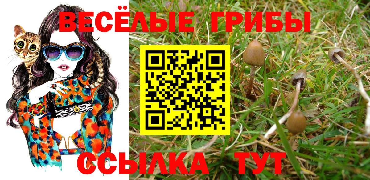 Галлюциногенные грибы мухоморы Бузулук