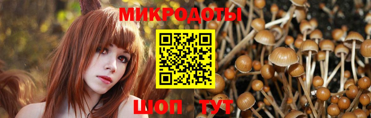 Галлюциногенные грибы Magic Shrooms  Бузулук 