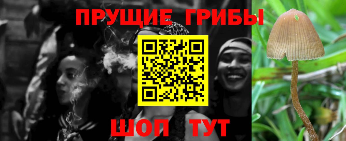 Галлюциногенные грибы мицелий Бузулук